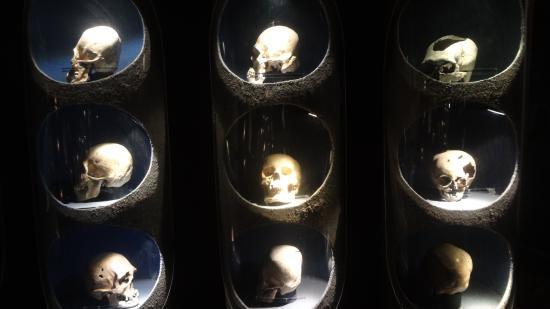 Museo de Arqueología de Durango Ganot-Peschard